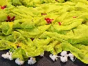 Mulmul-cotton-soft-saree-yellow.webp