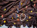 Mulmul-cotton-soft-saree-Black.webp